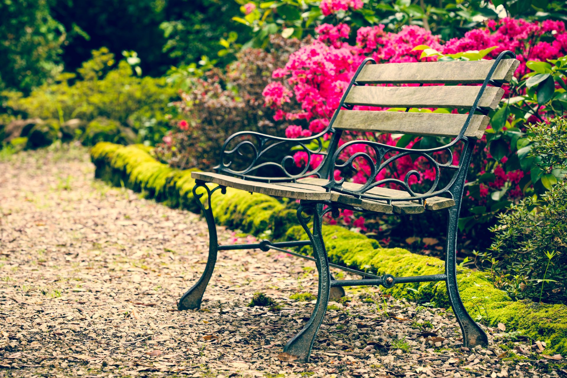 aménagement jardin